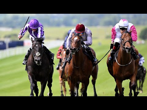 <div>Steve Ryder and Angus McNae&;s Flat horses to follow for 2026</div> 2 hqdefault 1200
