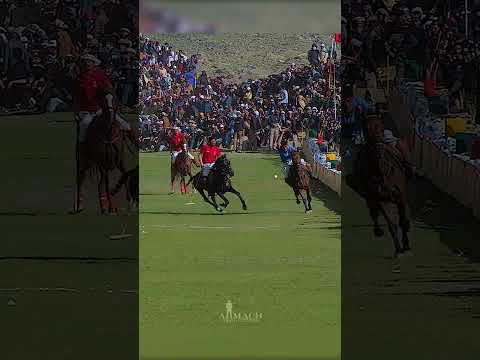 🇵🇰 🏇 2 hqdefault 738