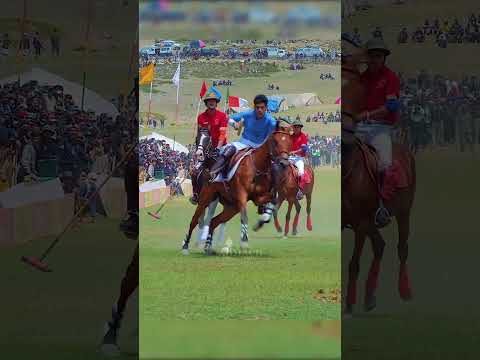 🇵🇰 🏇 2 hqdefault 853